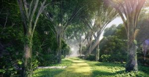 Park Colonial Boulevard